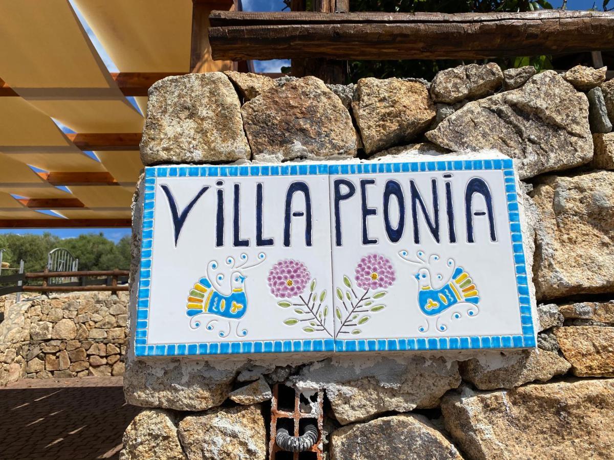 Villa Peonia Budoni Exteriör bild